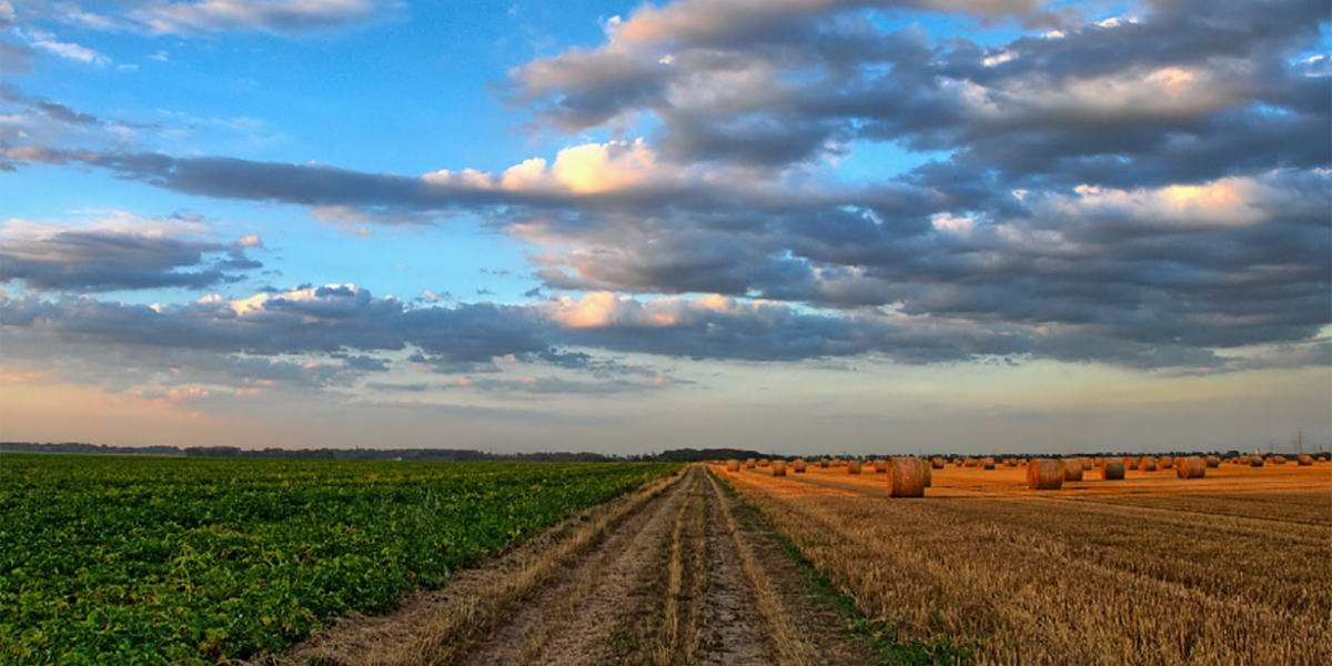 SOS Fosforo in agricoltura: si valutano alternative sostenibili